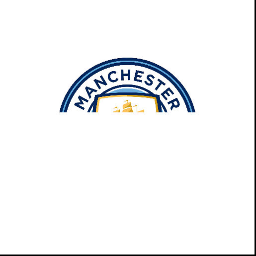 Manchester City Fans