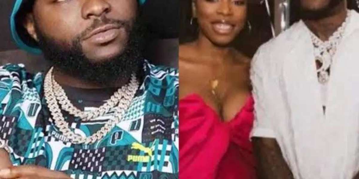 Burna Boy’s sister, Nissi, shades Davido over ‘new cat’ comment